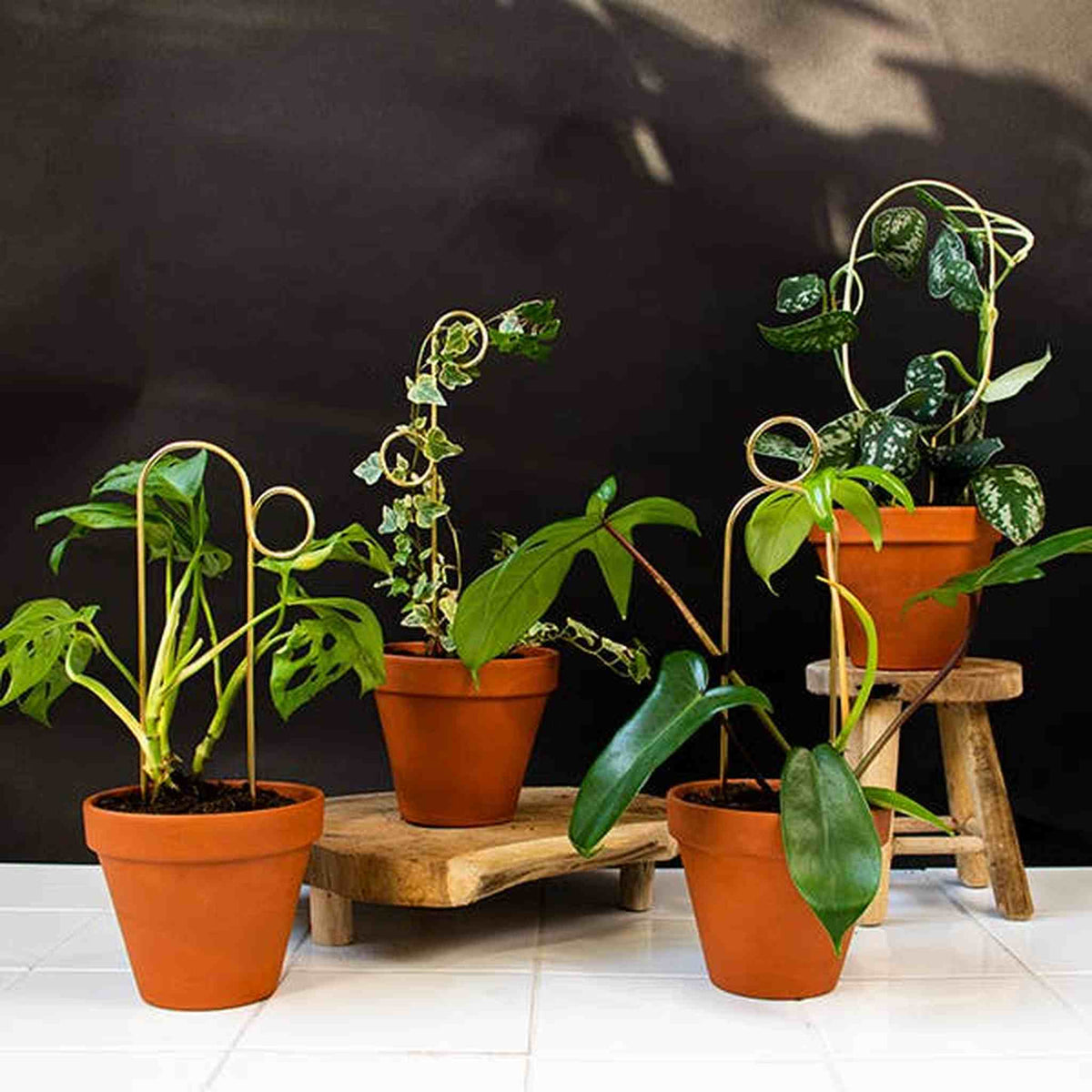 Set of 4 Mini Plant Stakes: Black