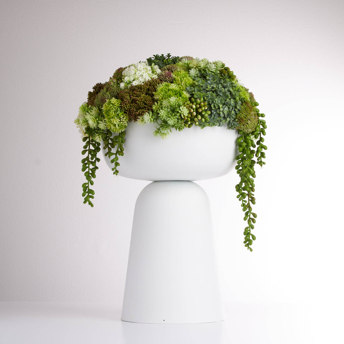 Elevate Sedum Green-White