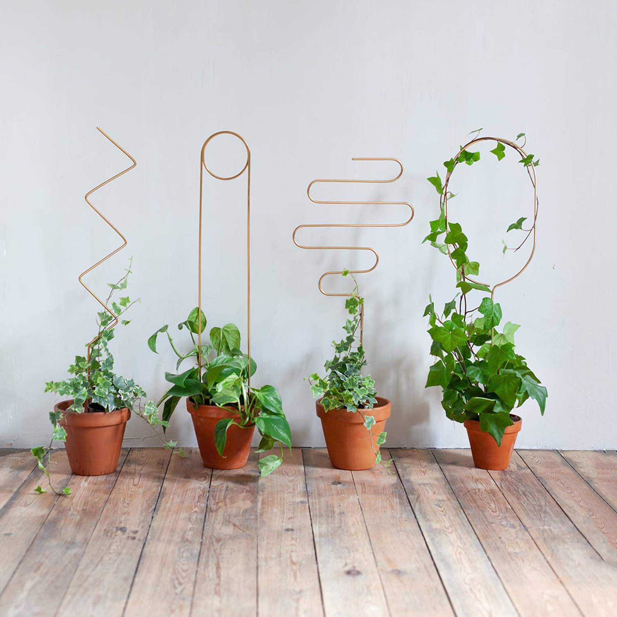 Gold Metal Plant Stake  ¨C Arch