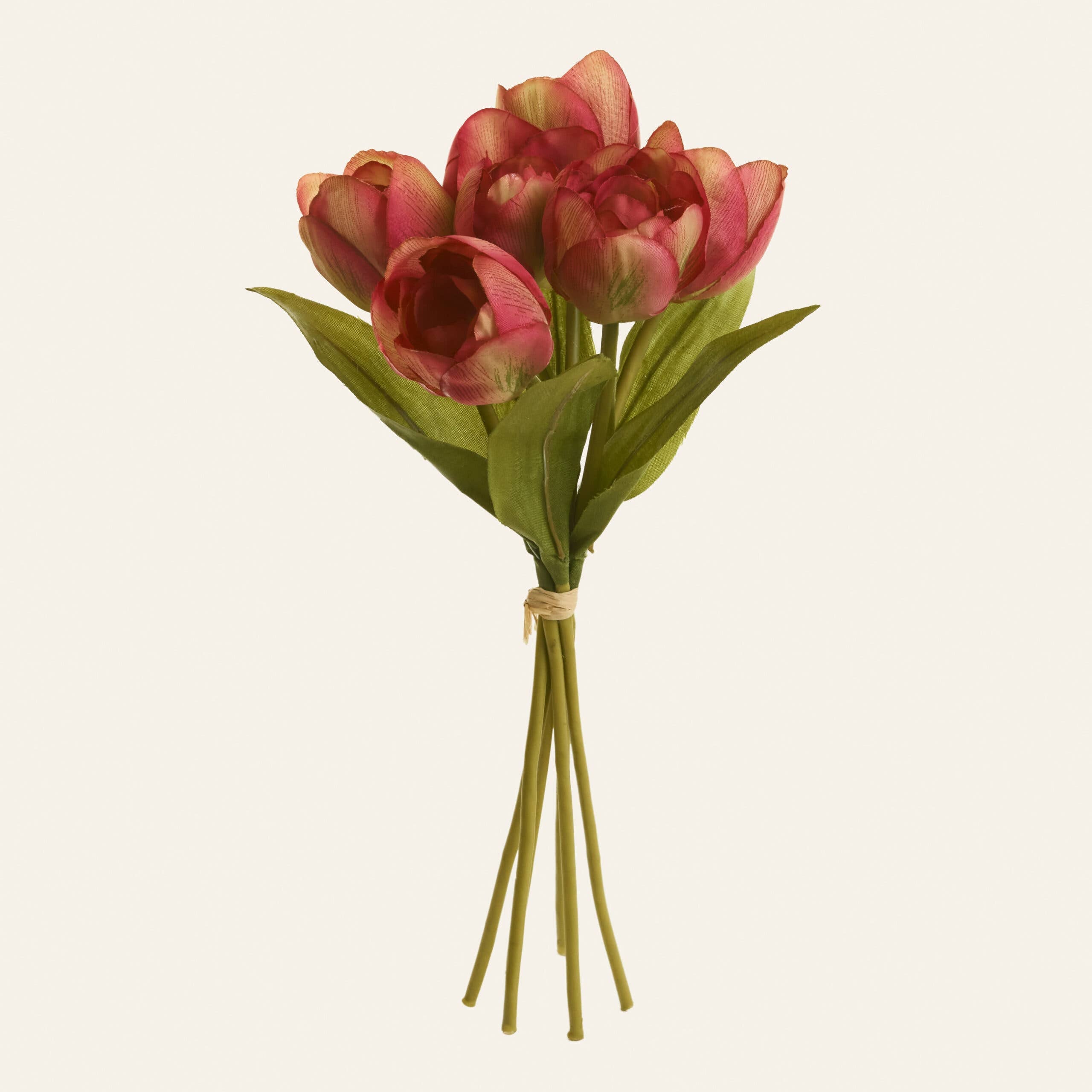 Tulips Flowers Bouquet Red Madonna