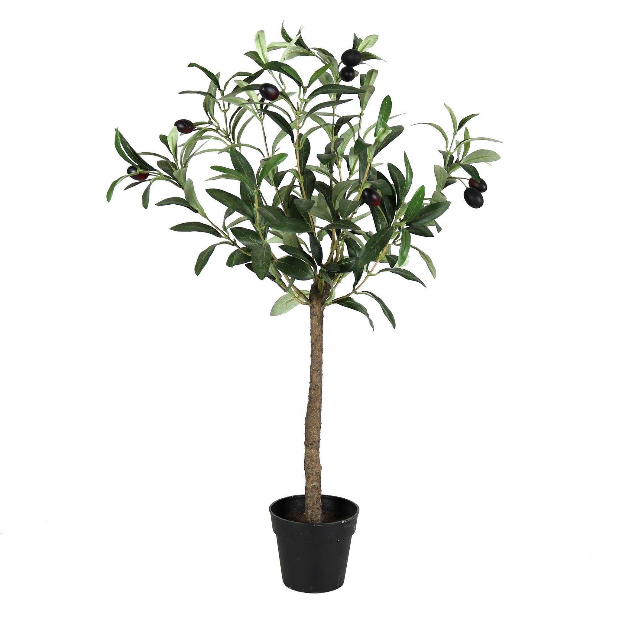 Potted Olive Tree( Faux)