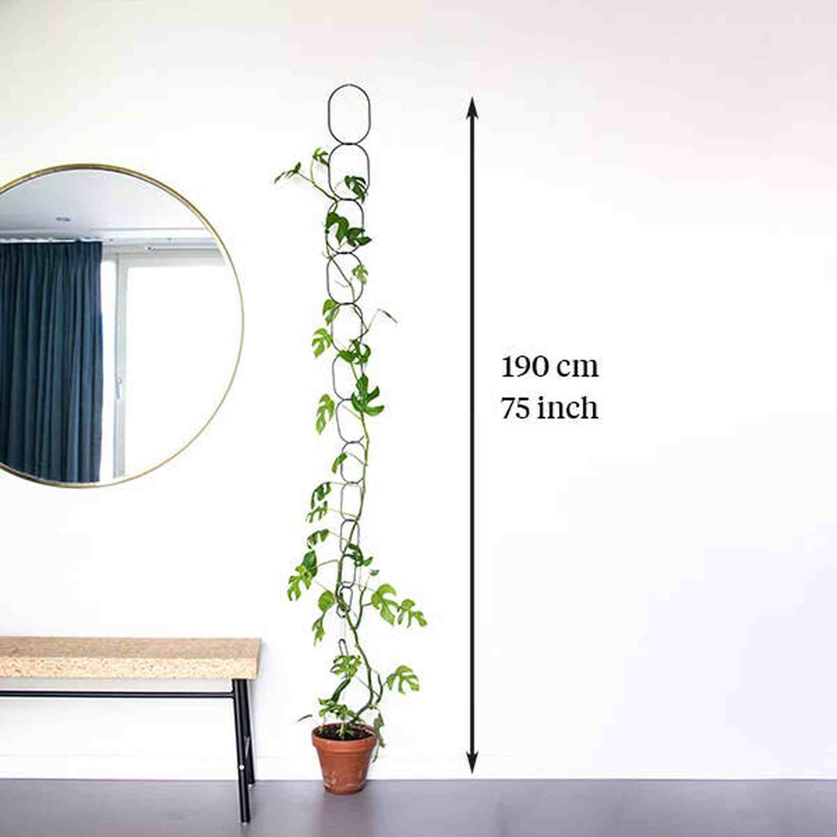 Black Brass Chain - Plant Support for climbing plants