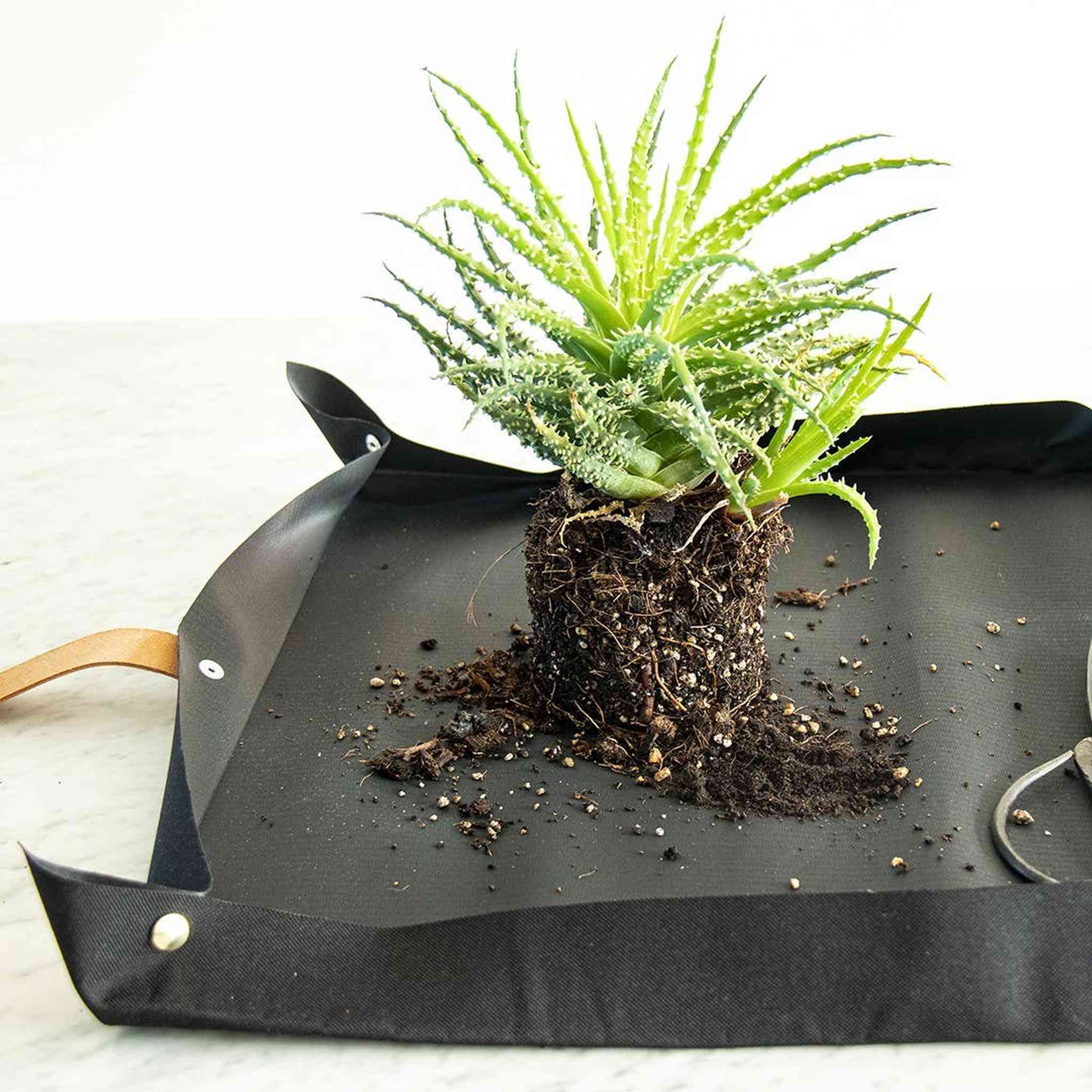 Potting tarp for urban gardening: Vegan black ribbon