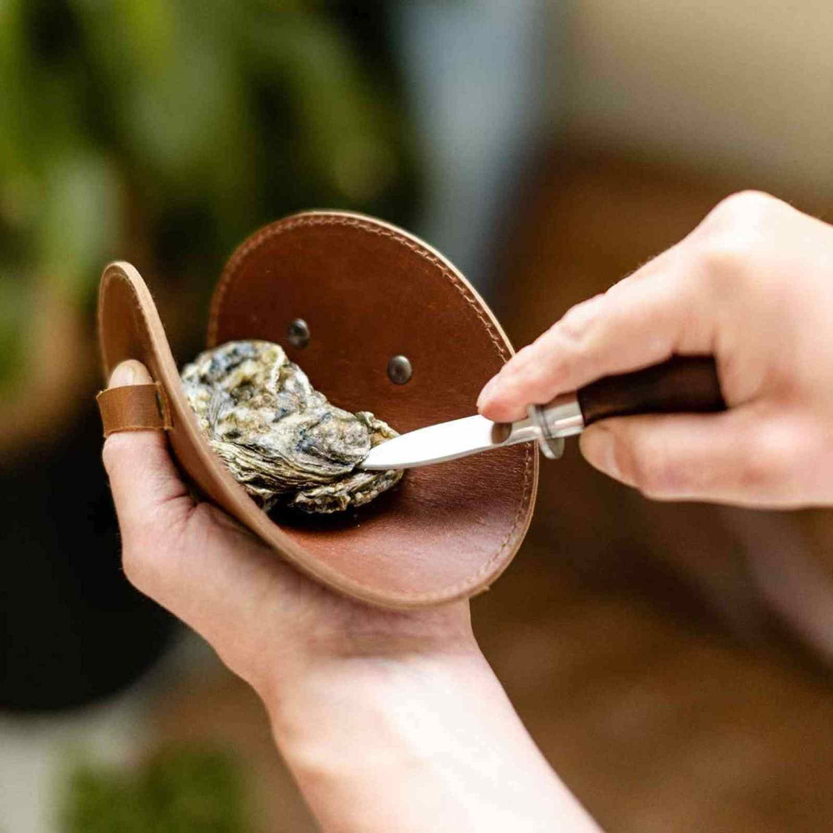 Oyster set with leather glove