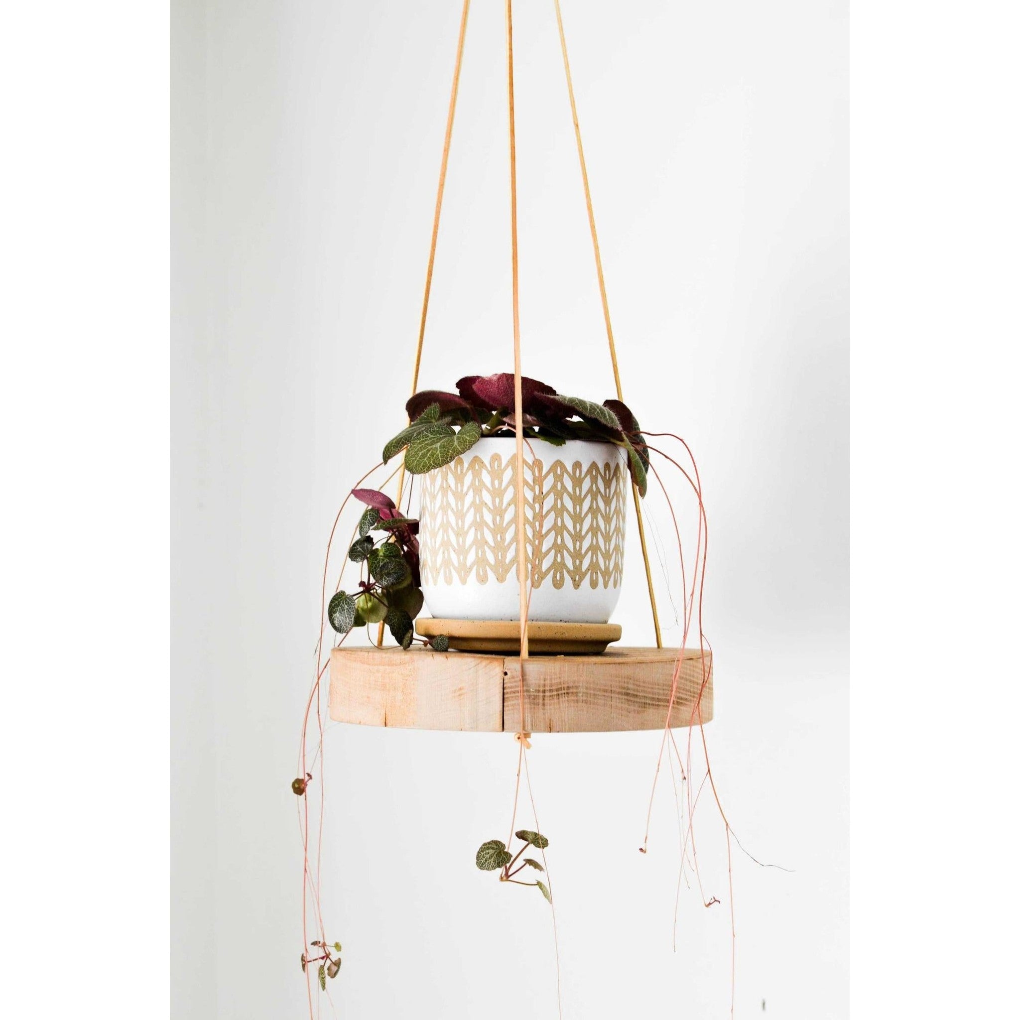 Reclaimed White Oak Round Plant Hanger with Leather Straps