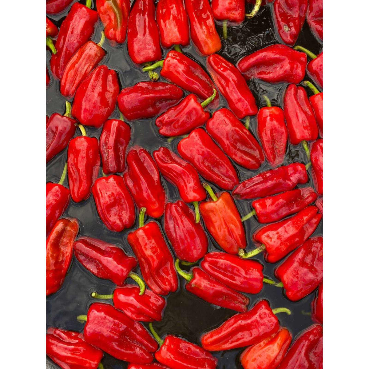 Aji Peach -2025 International Flave Award Winner