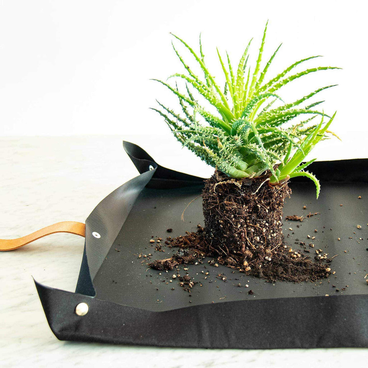 Potting tarp for urban gardening: Vegan black ribbon
