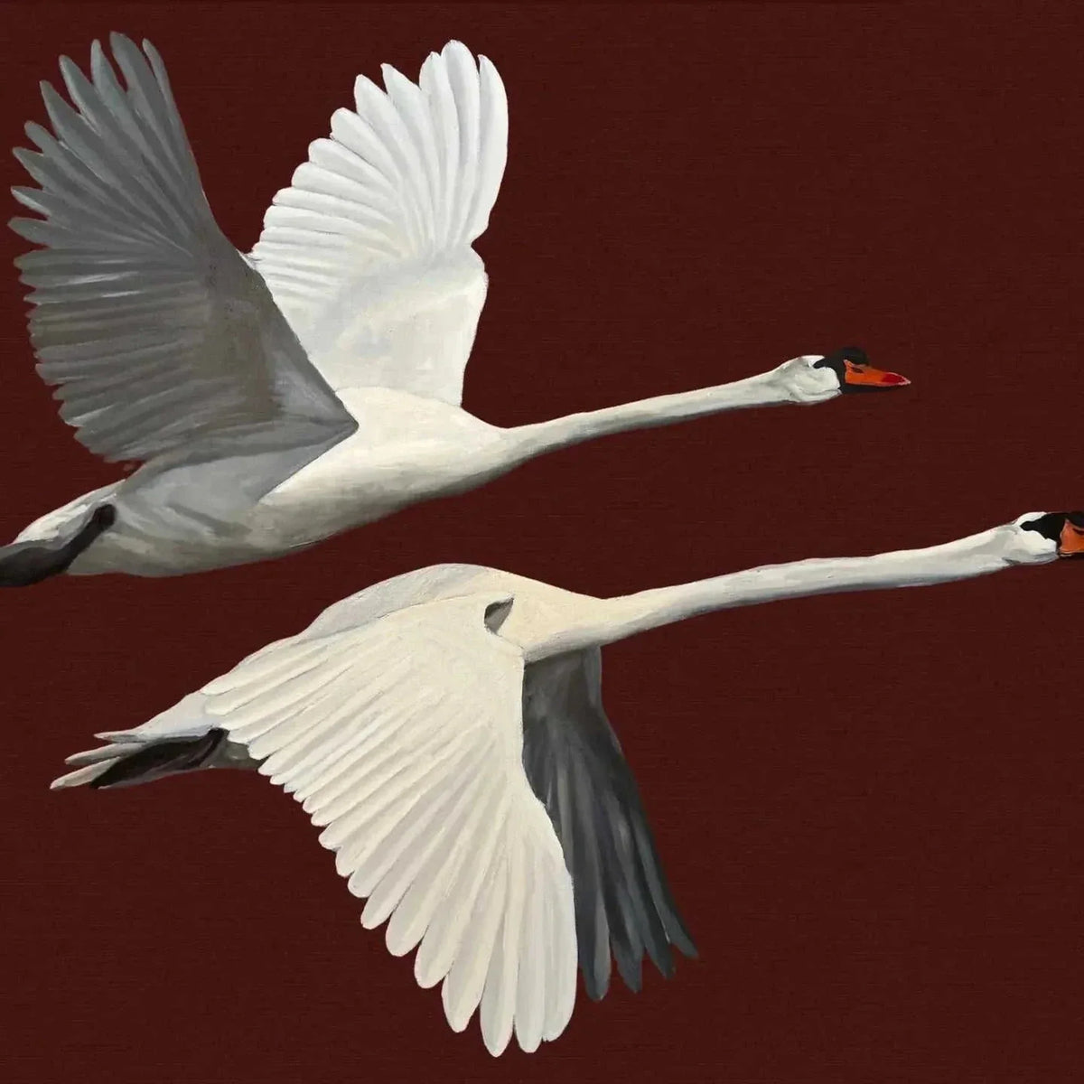 "Way of Swans" 5x7" Print