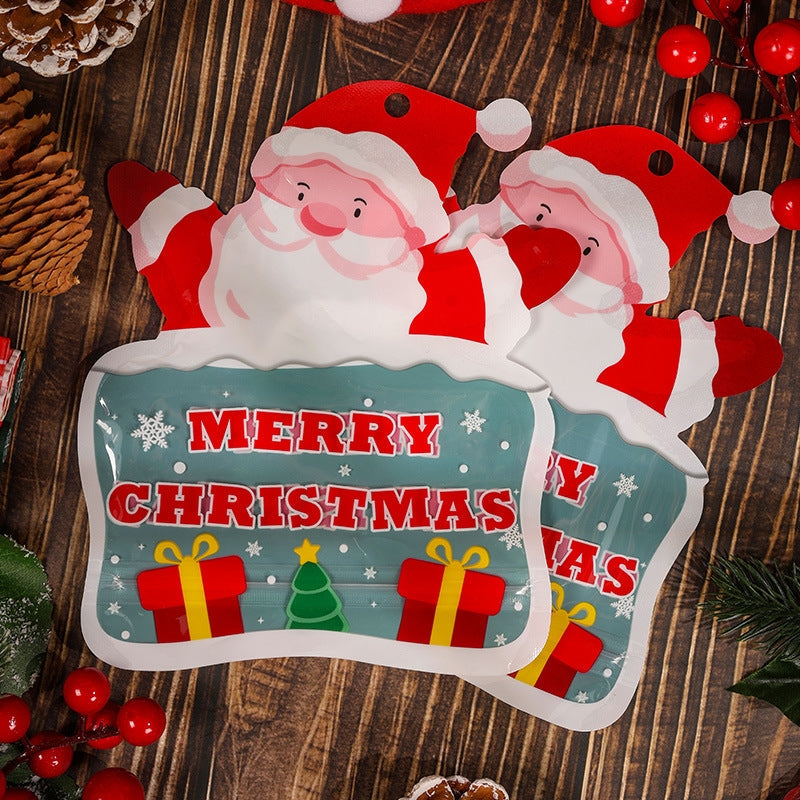 Christmas Gift Bag