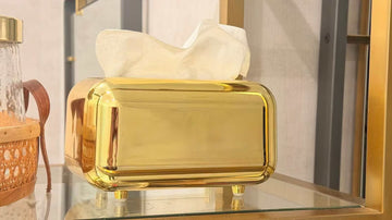 ?Modern Gold Footed Tissue Holder