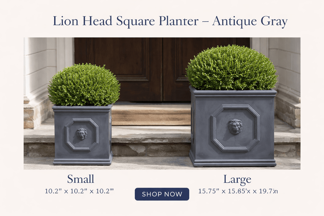 Lion Head Square Planter ¨C Antique Gray