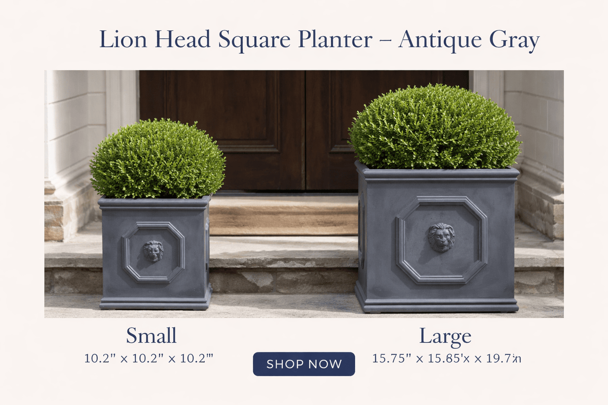 Lion Head Square Planter ¨C Antique Gray