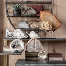 Petrified Wood Bowl