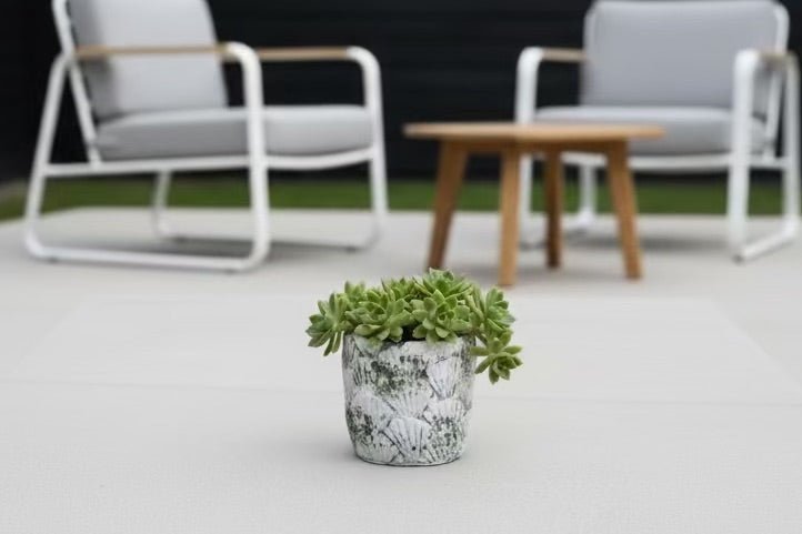 Distressed Shell Planter