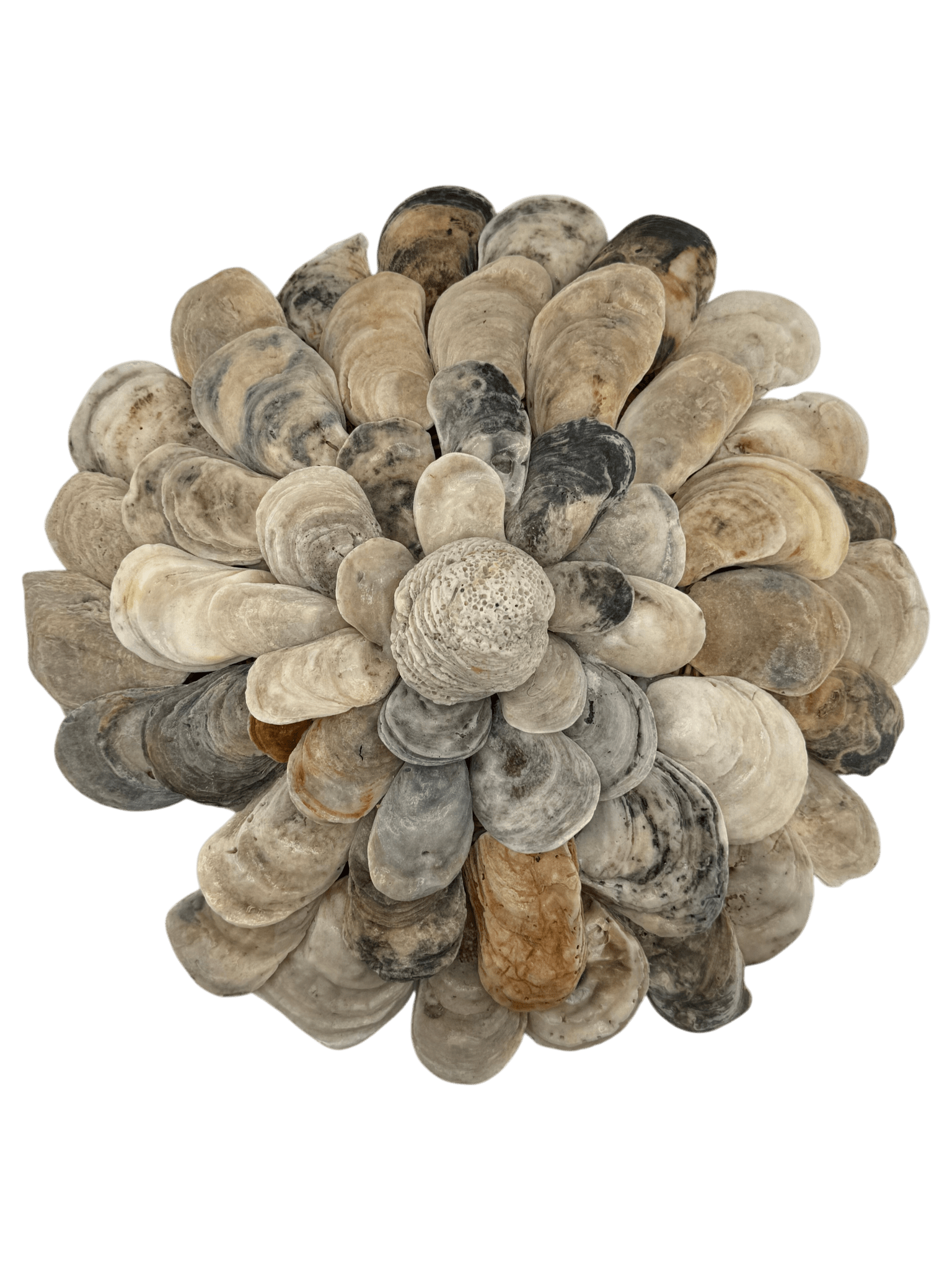 Handmade Oyster Shell Bloom