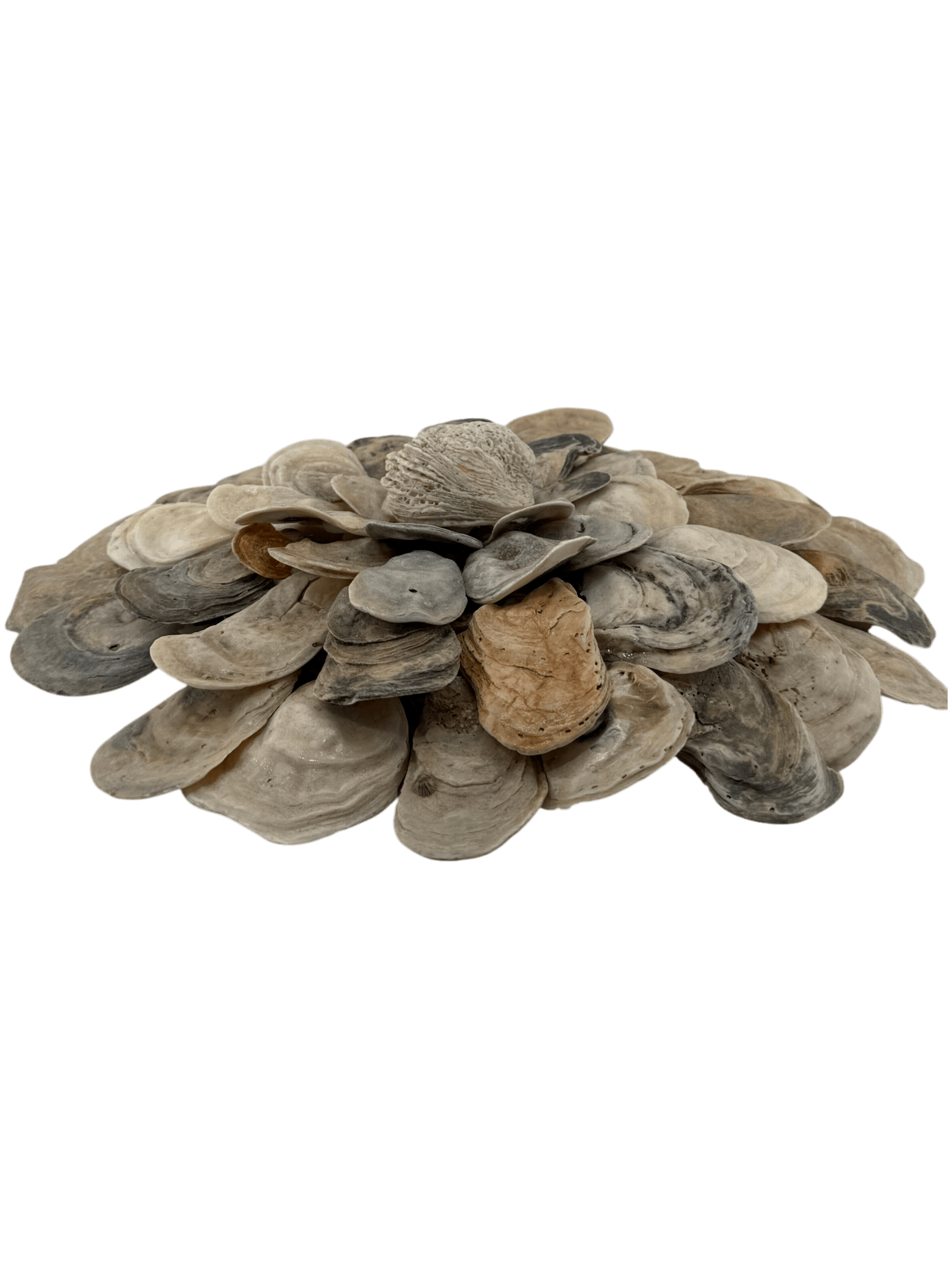 Handmade Oyster Shell Bloom