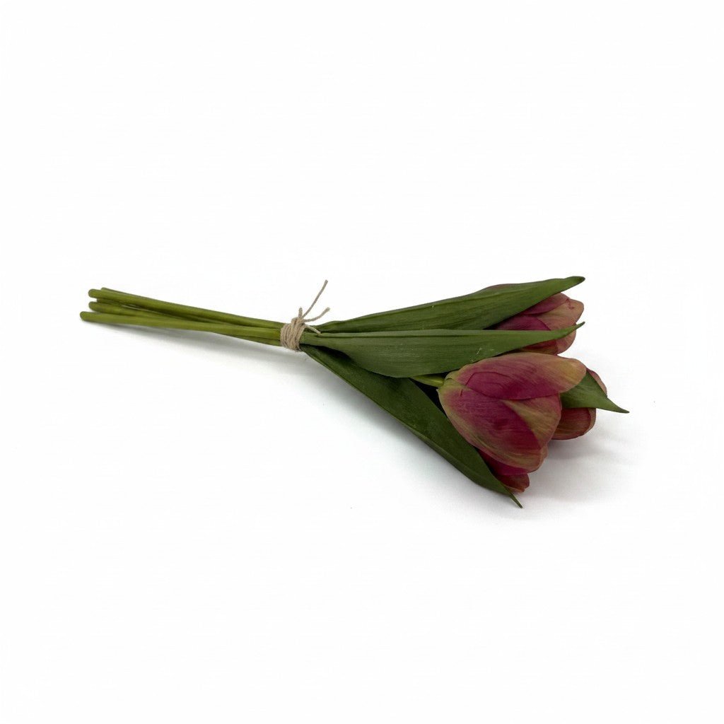 Tulips Flowers Bouquet Red Madonna