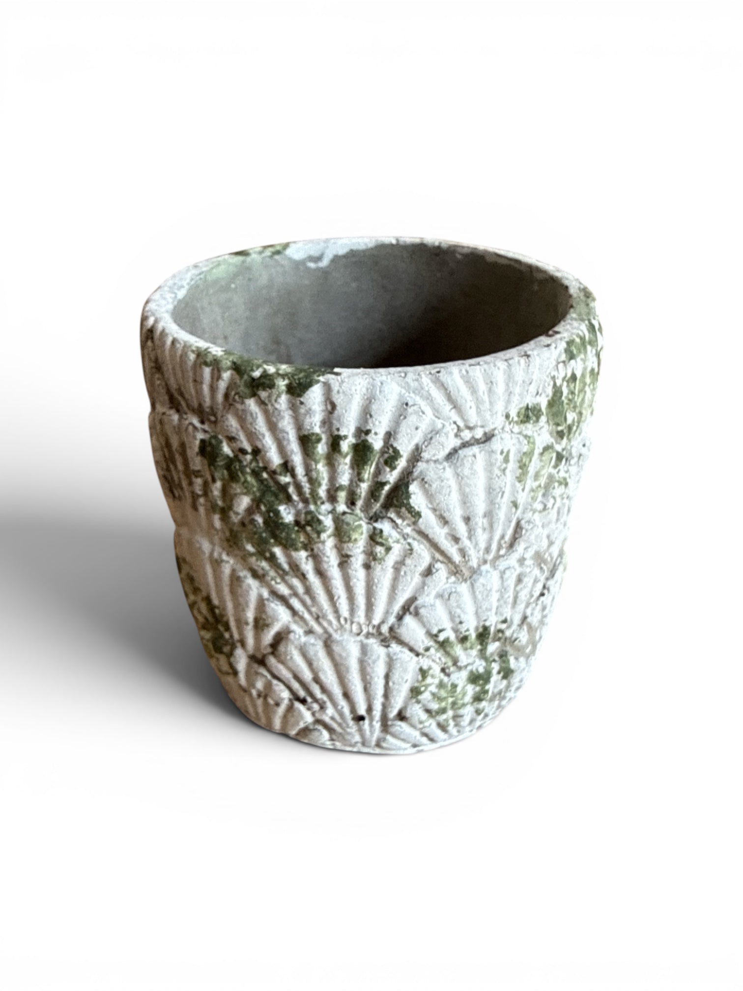 Distressed Shell Planter