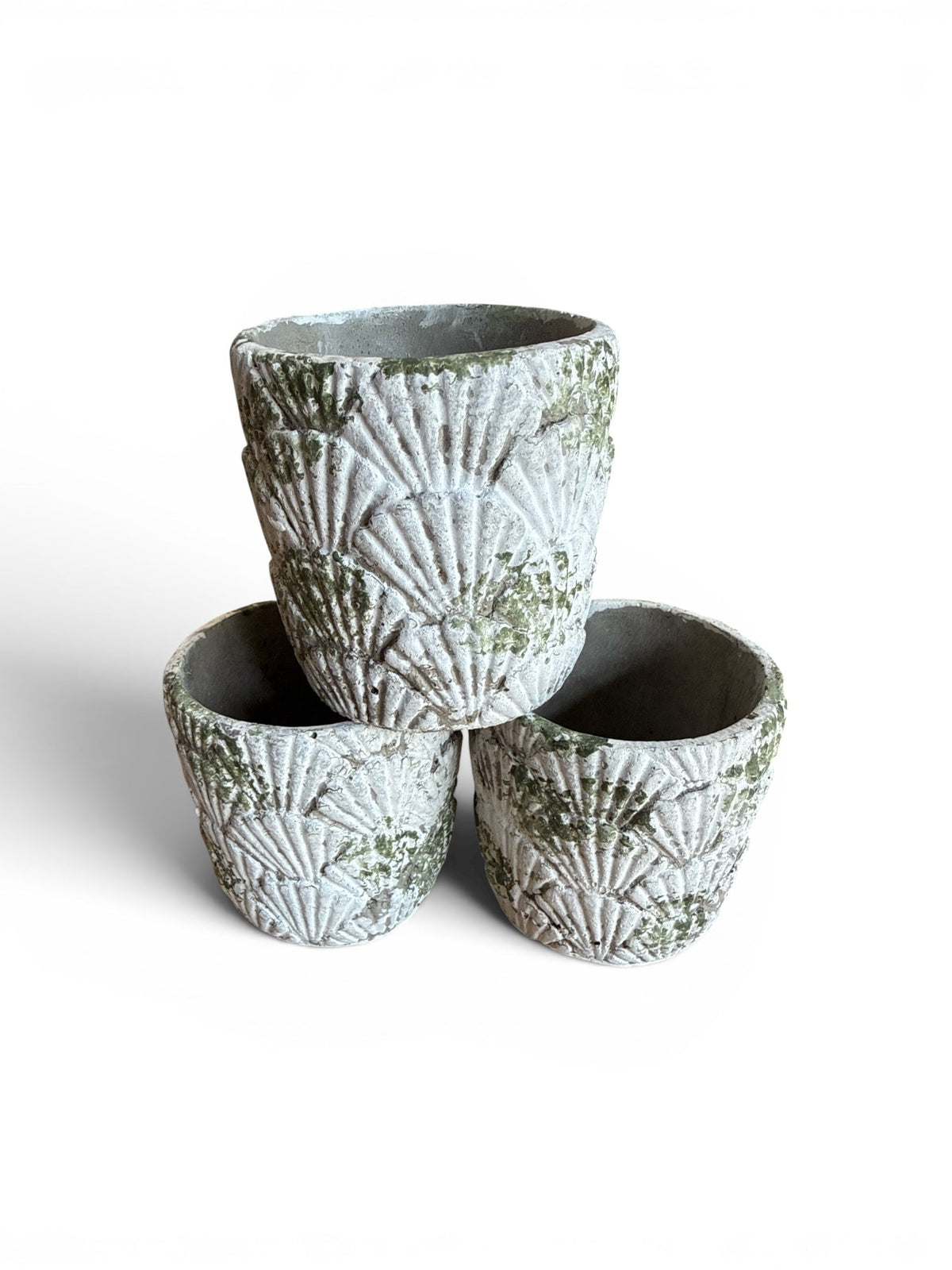 Distressed Shell Planter