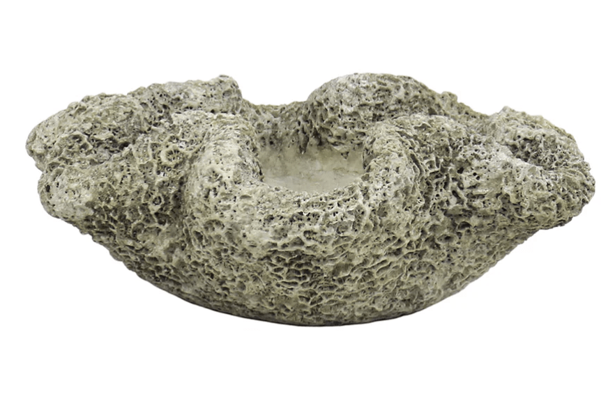 Cast Concrete Coral Planter