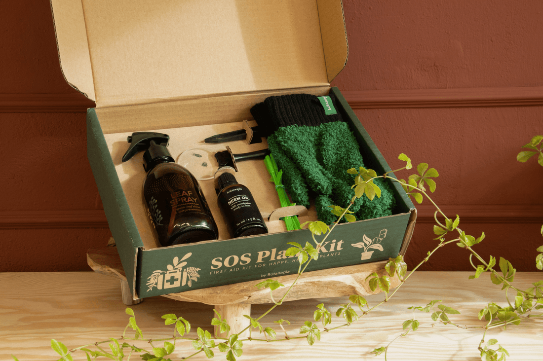 SOS Plant Care Kit