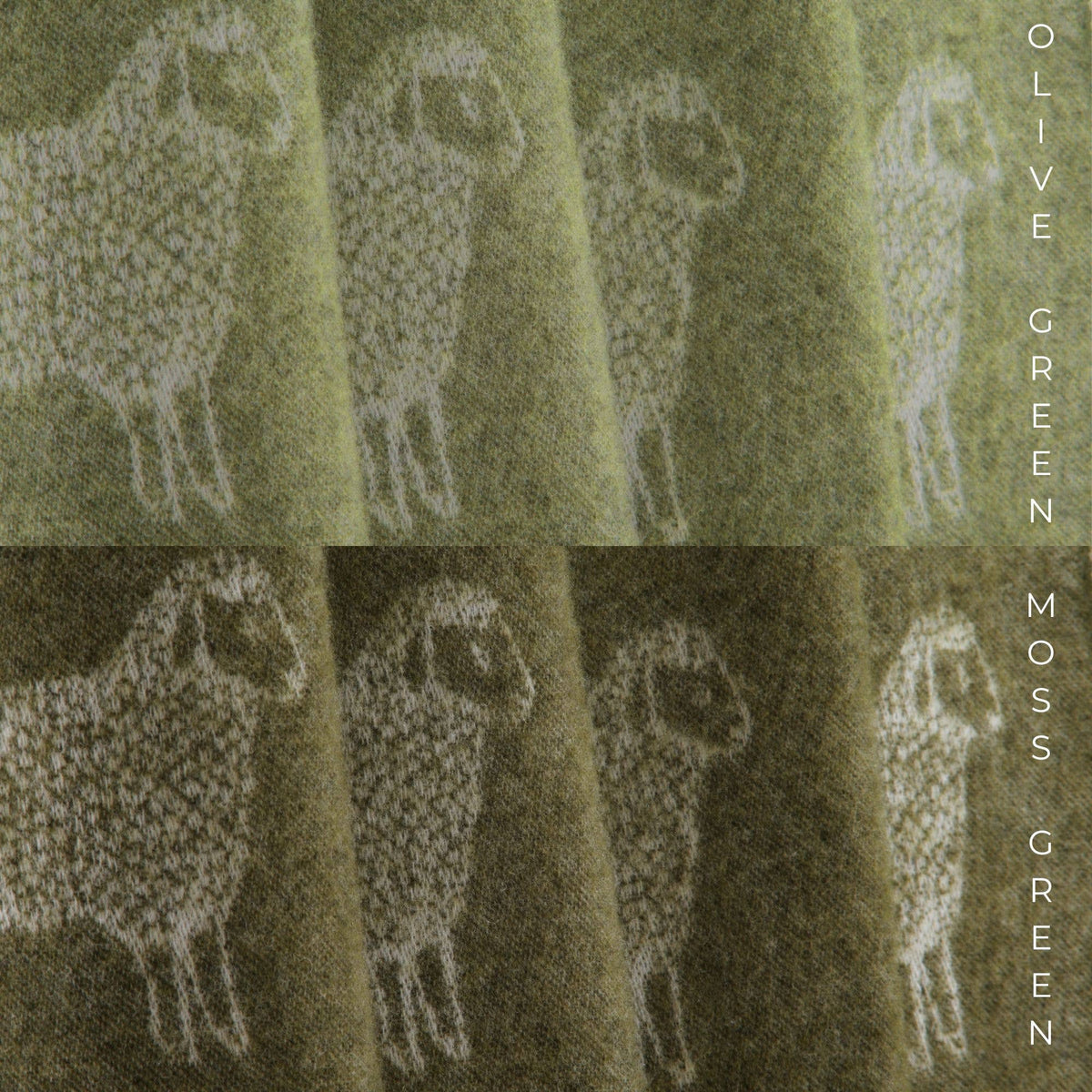 Moss Green Sheep Pure Wool Throw