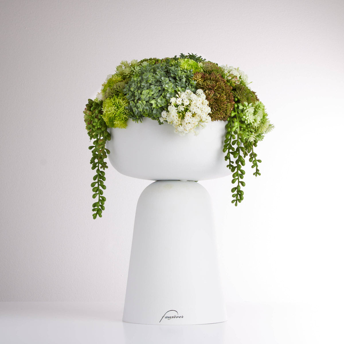 Elevate Sedum Green-White
