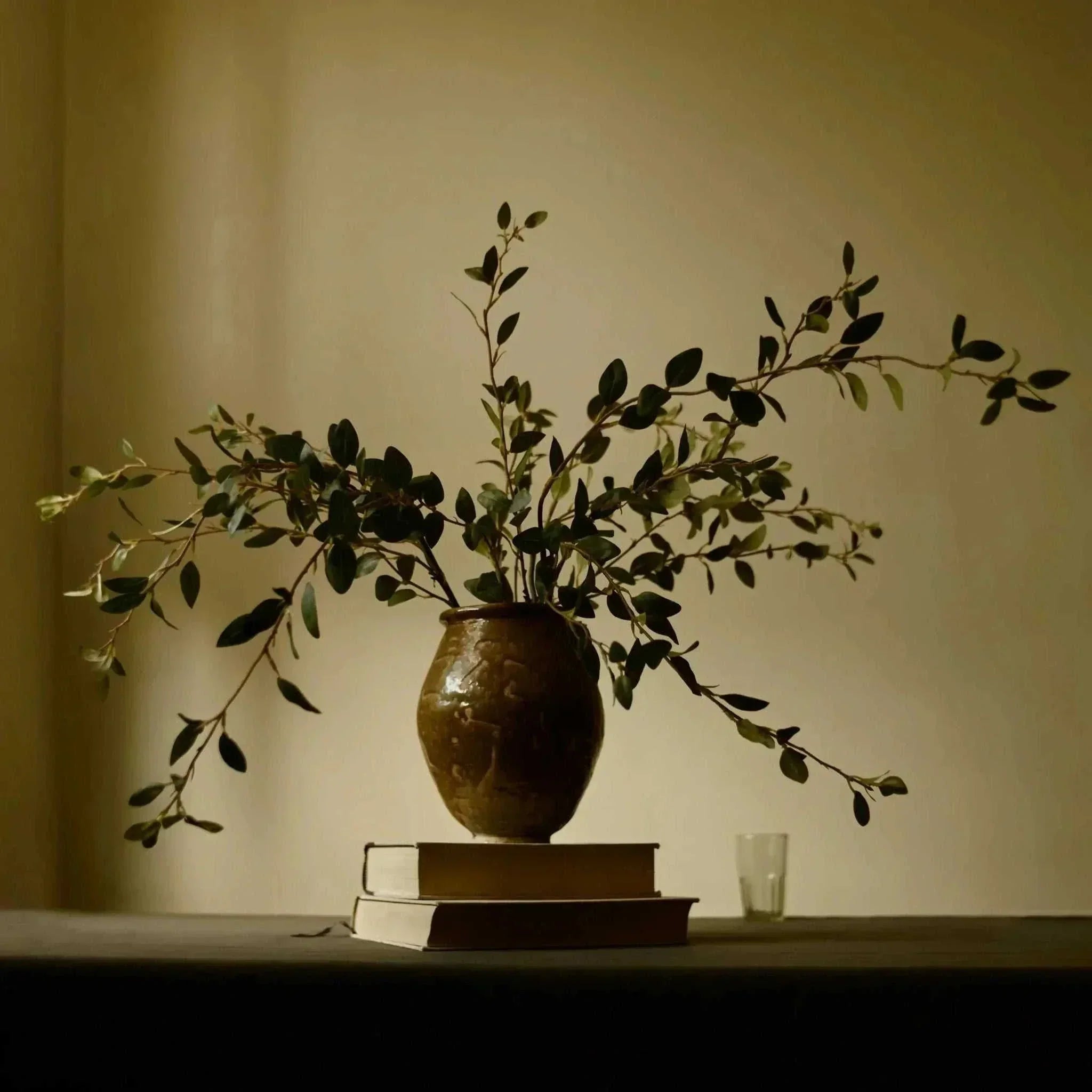 Creeping Willow Branch (Salix Repens)