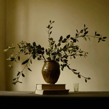 Creeping Willow Branch (Salix Repens)