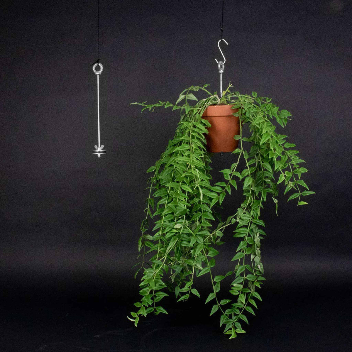 Bolty ¨C Hanging planter system for plant pots