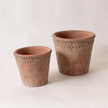 French Terracotta Planter with Scalloped Rim