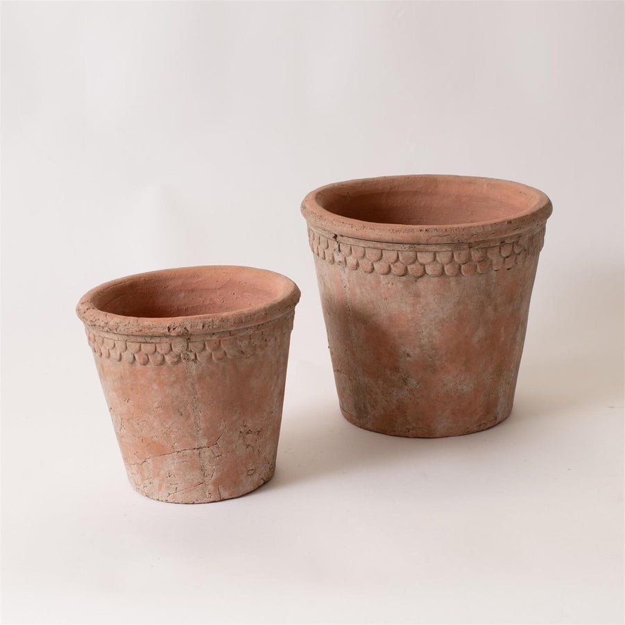 French Terracotta Planter with Scalloped Rim