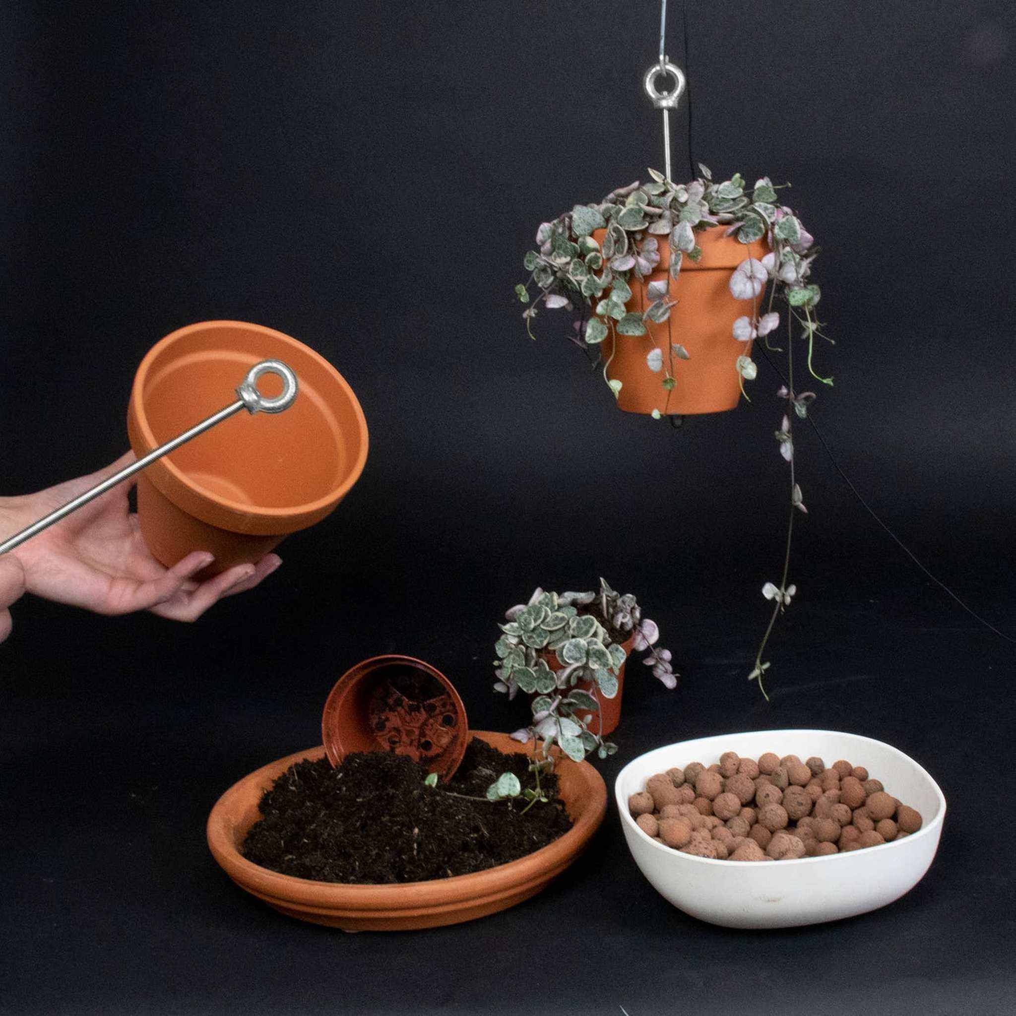 Bolty ¨C Hanging planter system for plant pots