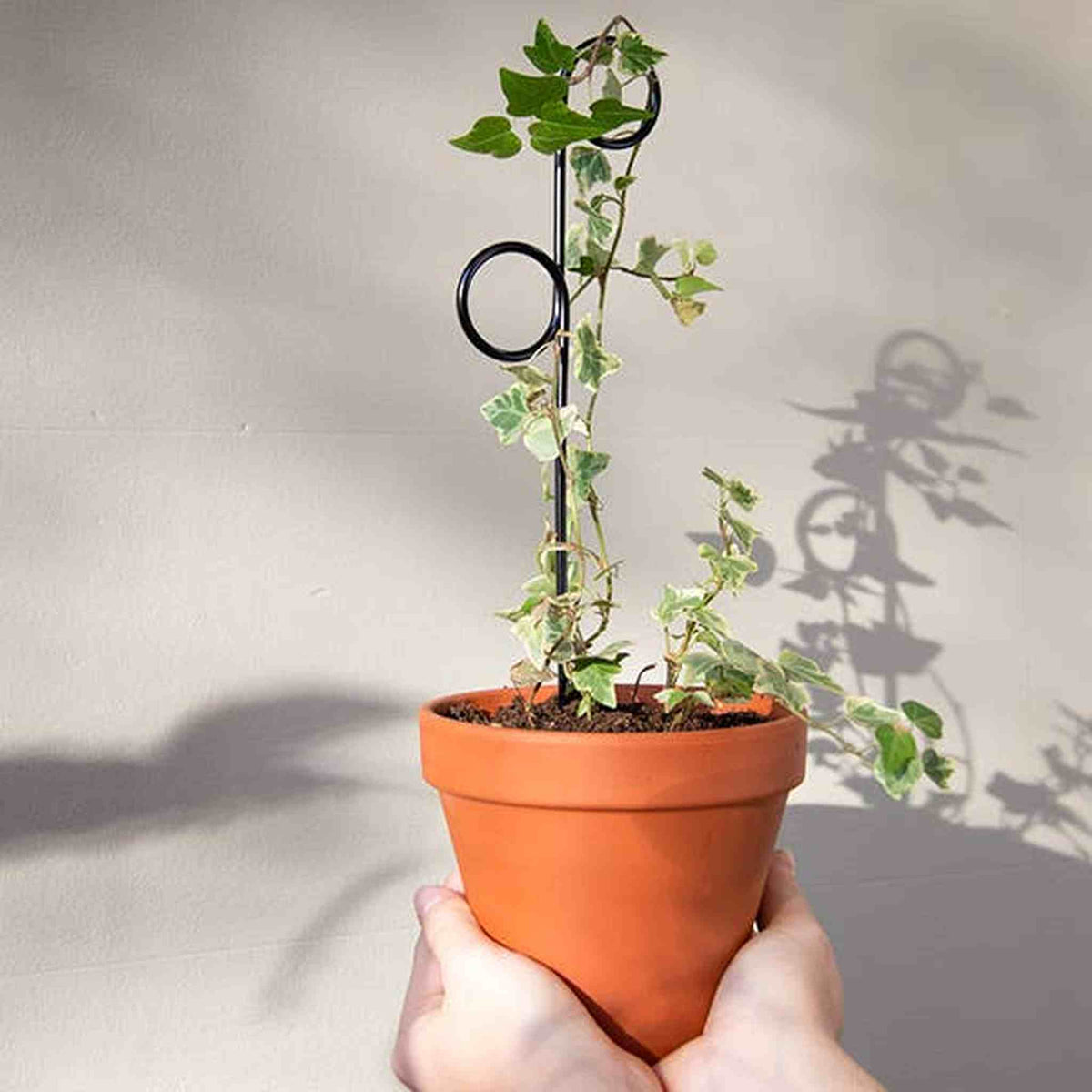 Set of 4 Mini Plant Stakes: Black