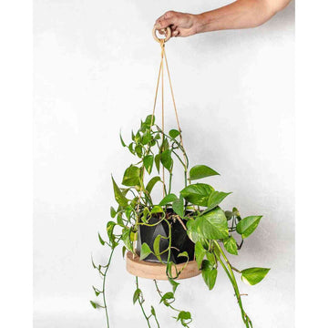 Reclaimed White Oak Round Plant Hanger with Leather Straps