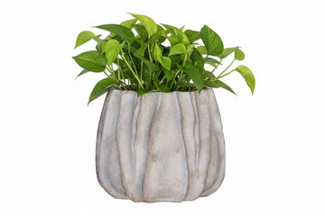 Concrete Lucid Planter