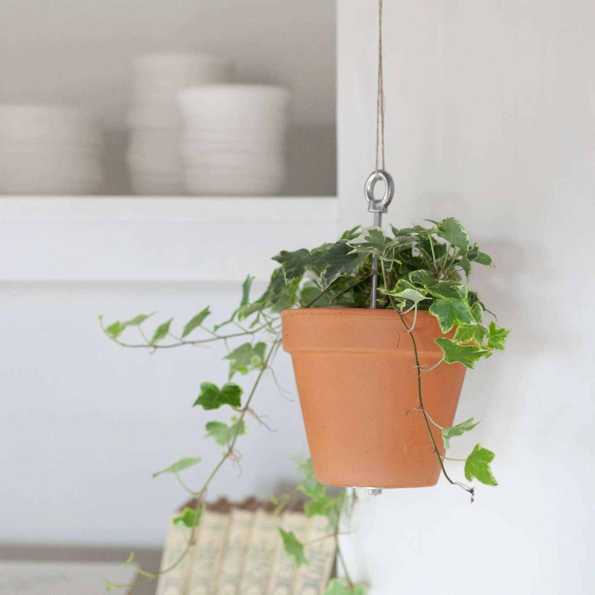 Bolty ¨C Hanging planter system for plant pots