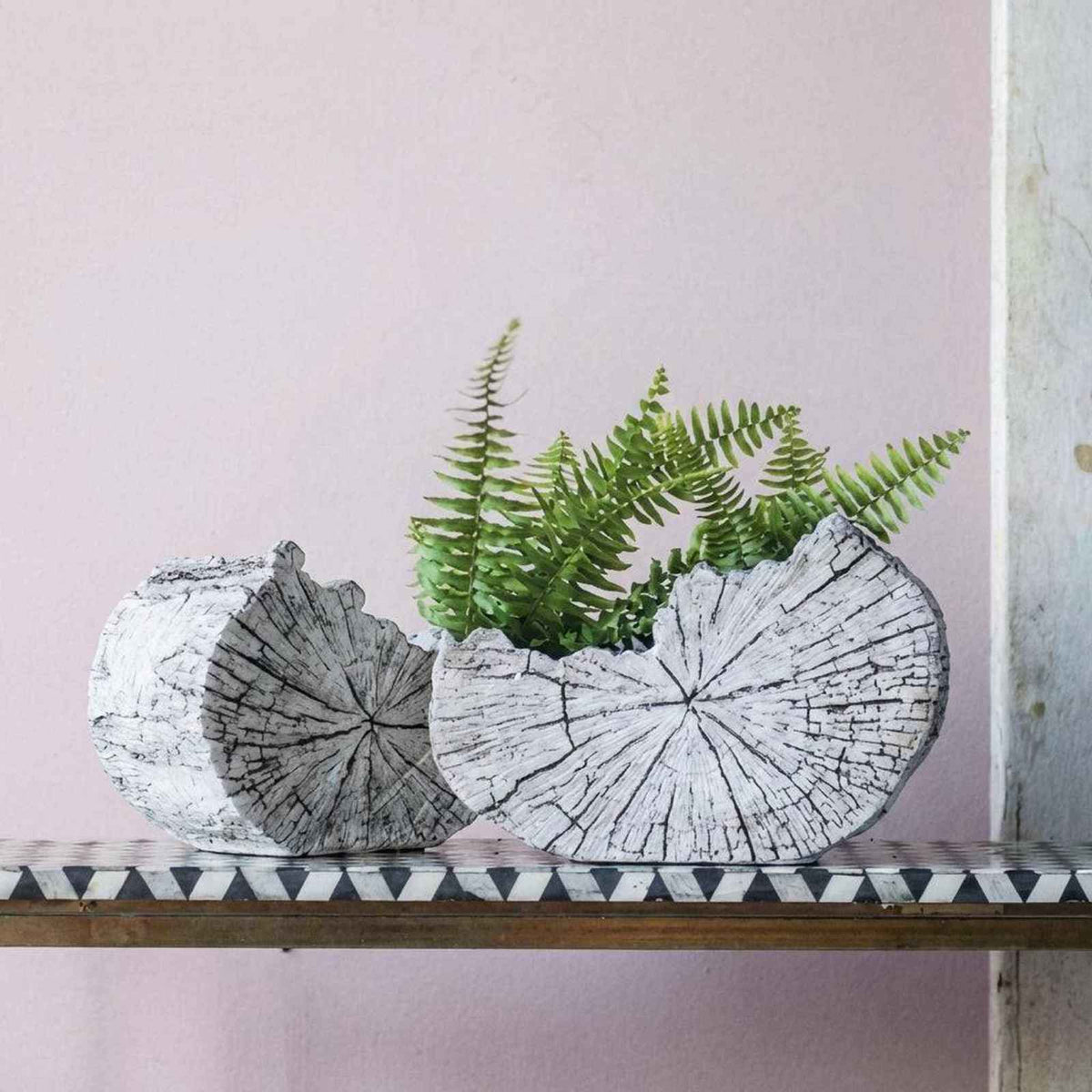 White Bois Slice Planter