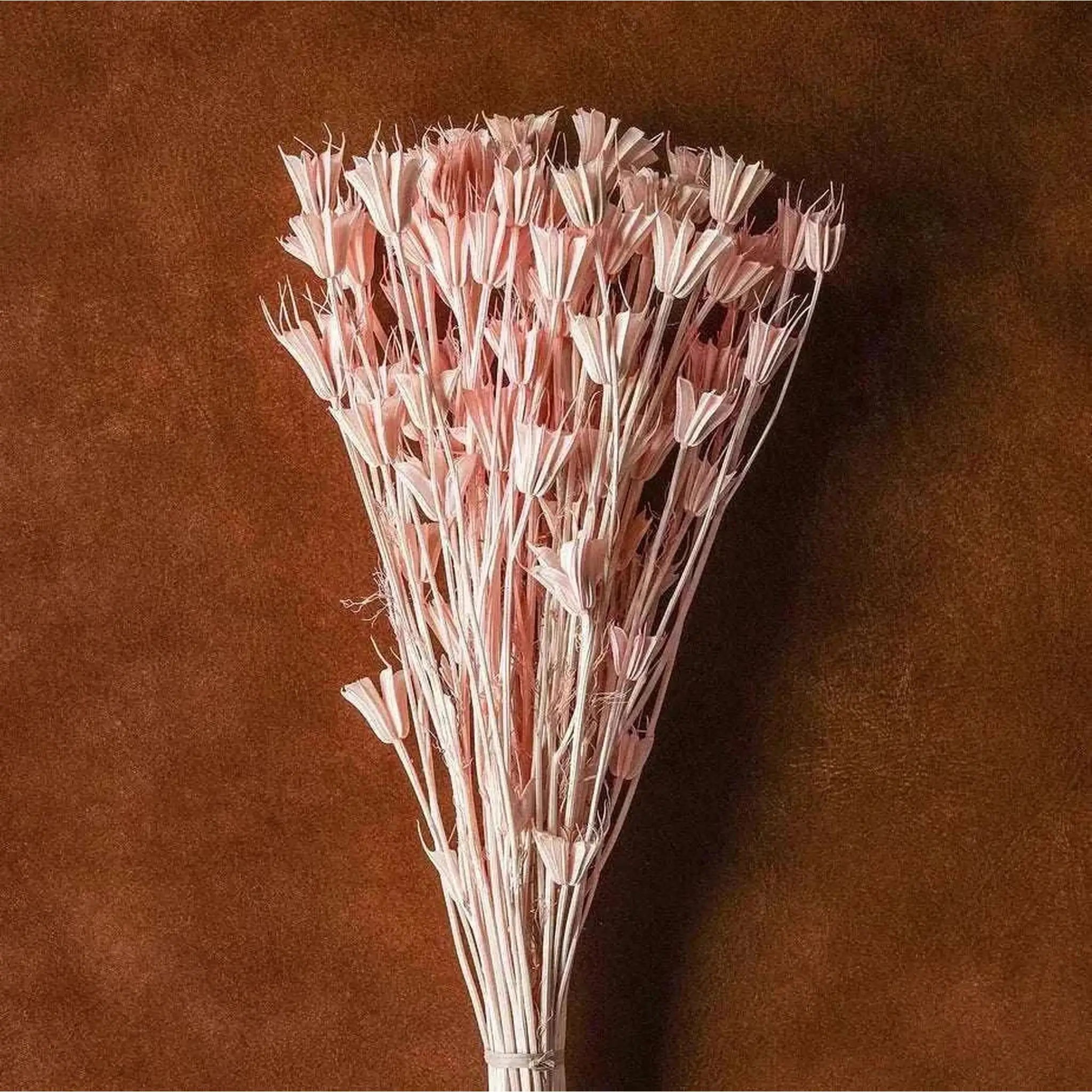 Dried Blush Floral Bouquet   Wrapped Assorted 20¡±