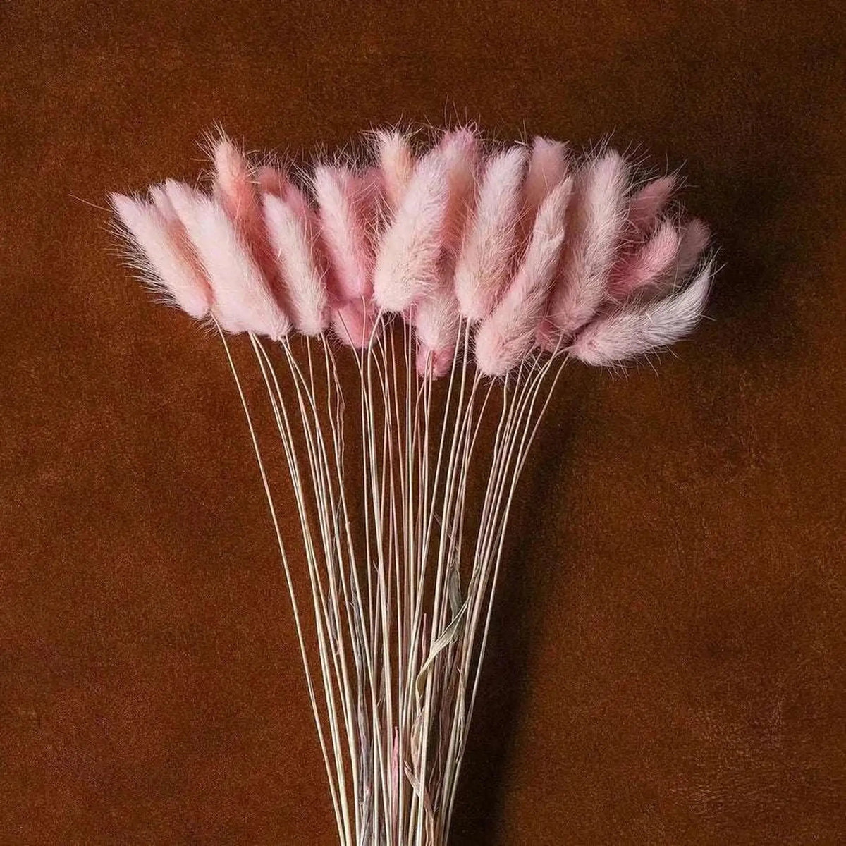Dried Blush Floral Bouquet   Wrapped Assorted 20¡±