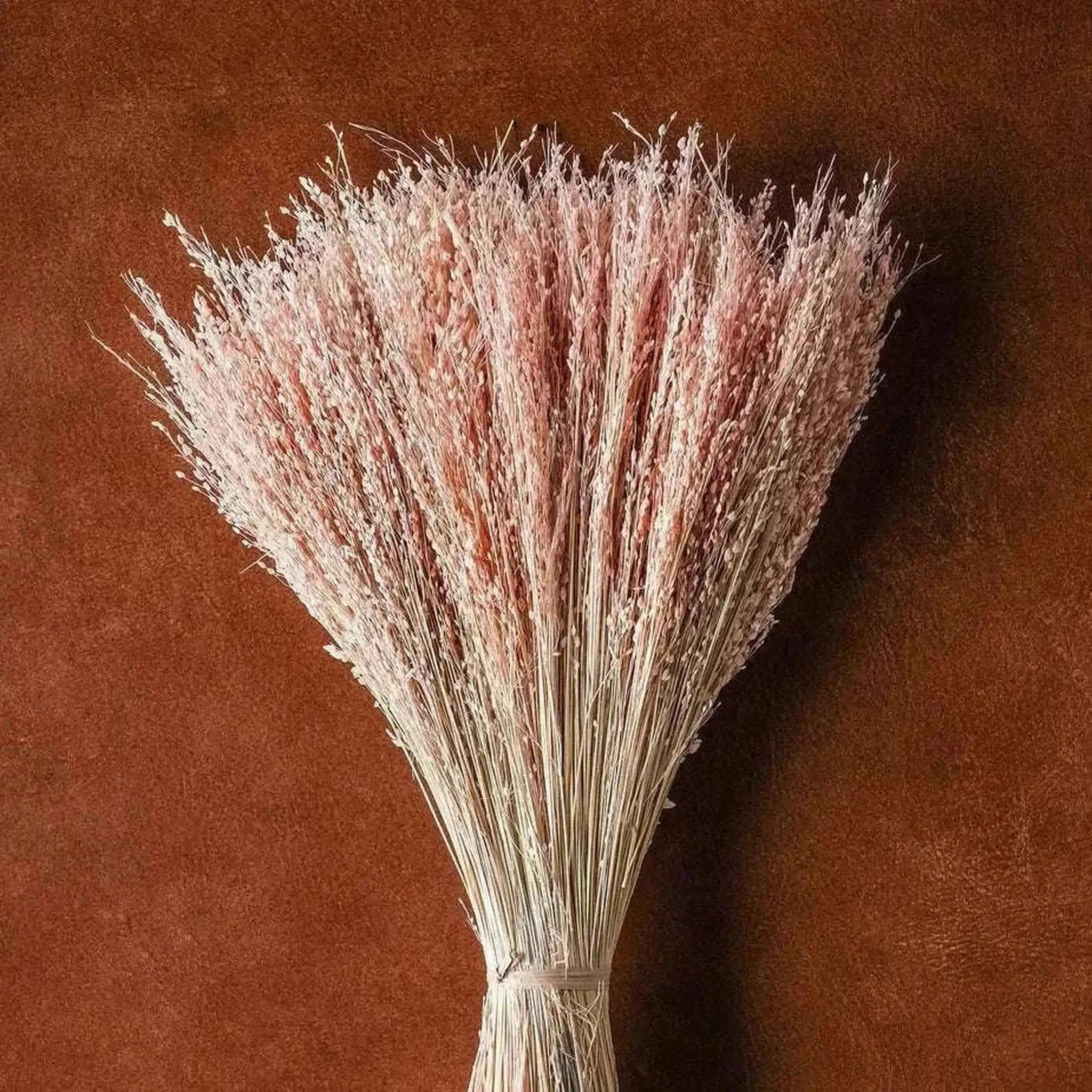 Dried Blush Floral Bouquet   Wrapped Assorted 20¡±