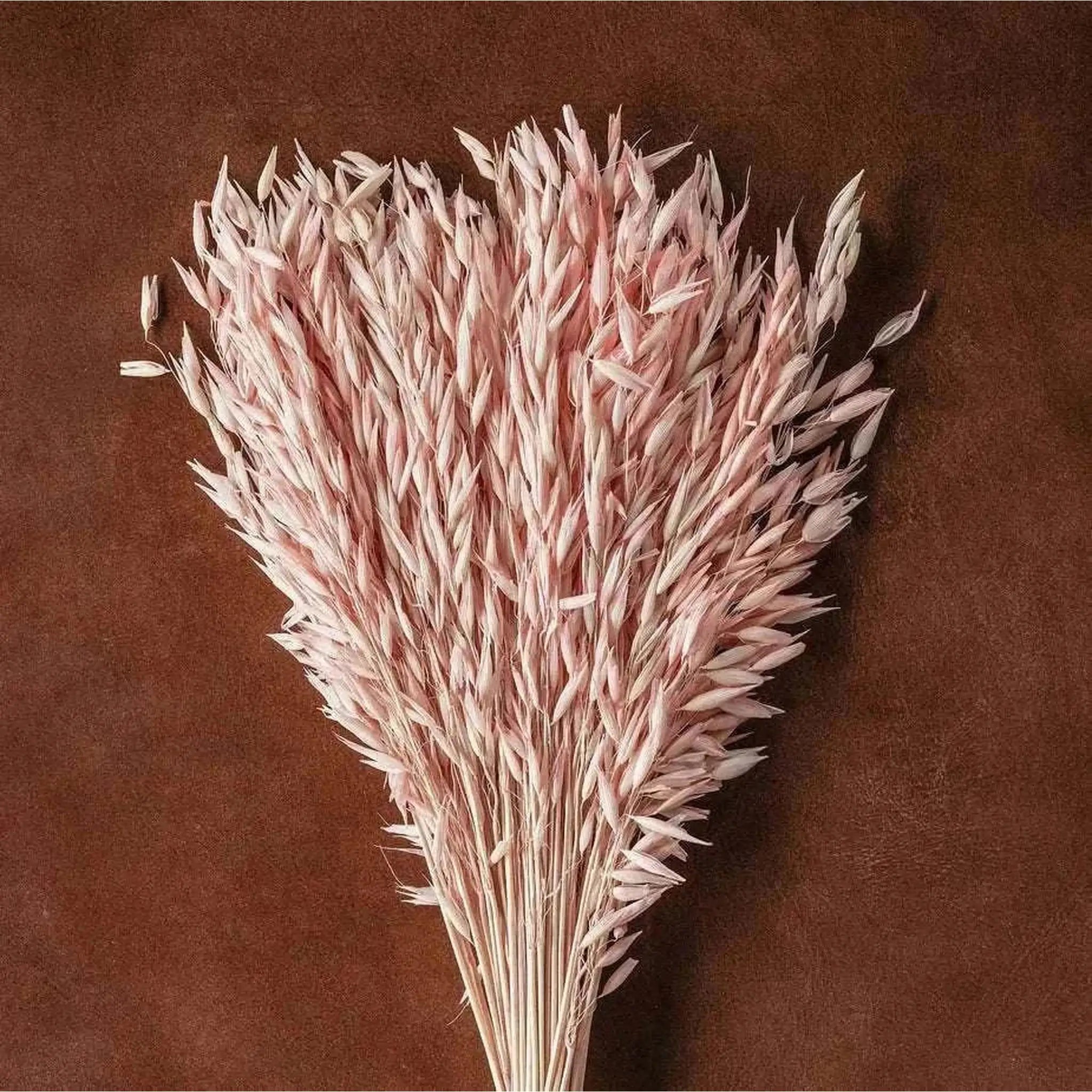 Dried Blush Floral Bouquet   Wrapped Assorted 20¡±