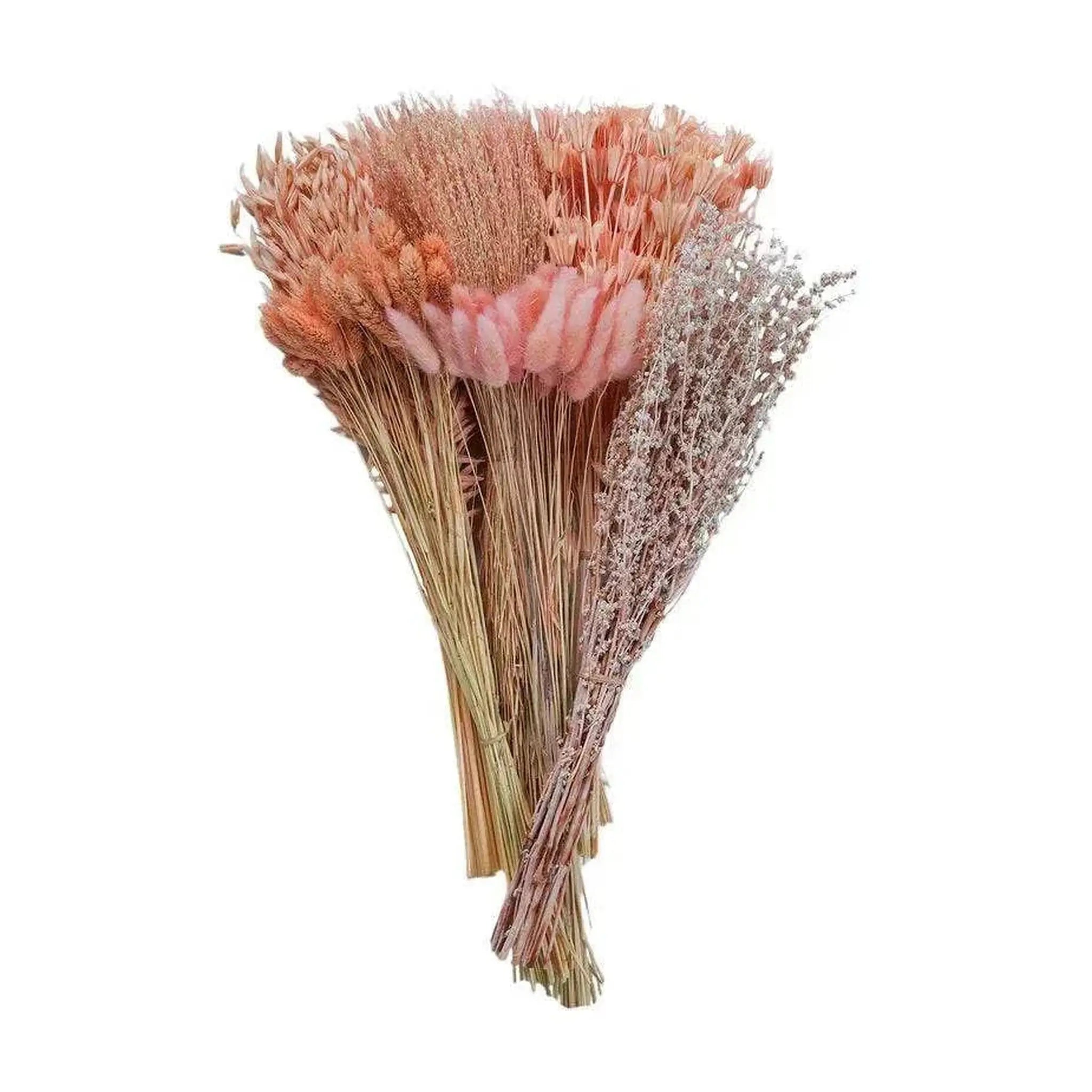 Dried Blush Floral Bouquet   Wrapped Assorted 20¡±