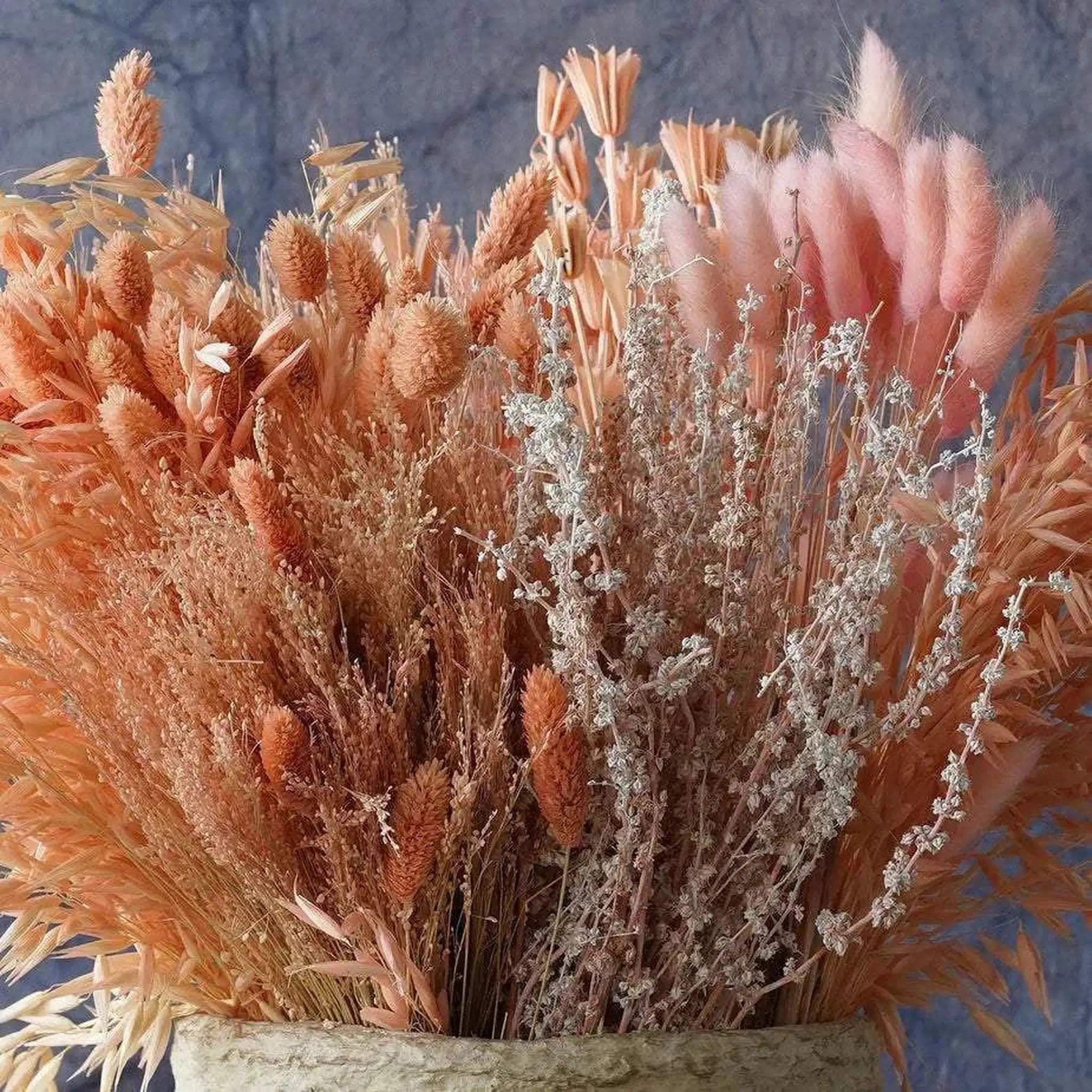 Dried Blush Floral Bouquet   Wrapped Assorted 20¡±