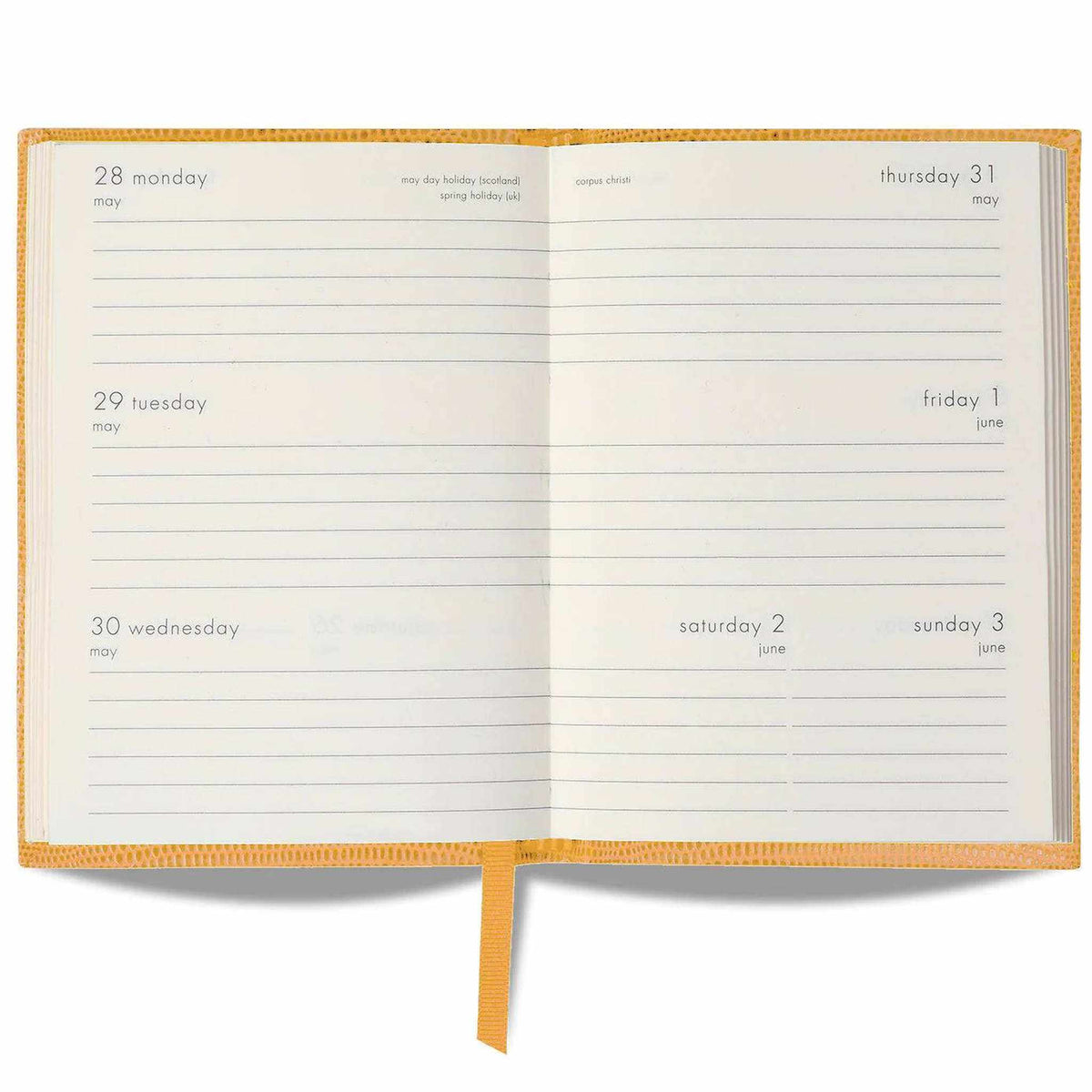 Trophy Wife Notebook